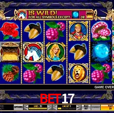 bet17 Rio de Janeiro - Bonus Terms